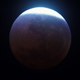 Illustration for article titled Last Nights Lunar Eclipse